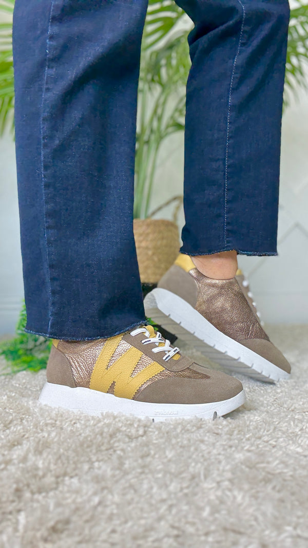 Wonders Jessie Trainer