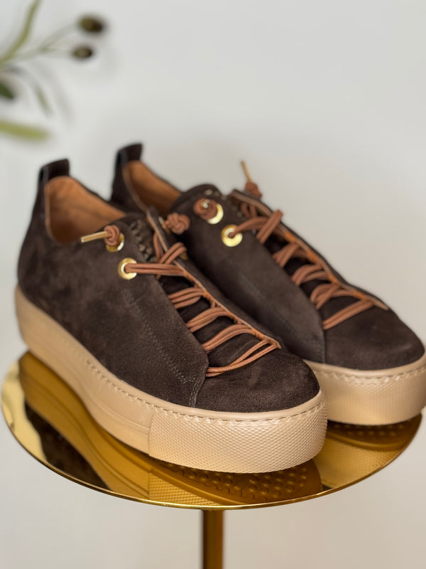 Paul Green Aurora Trainer