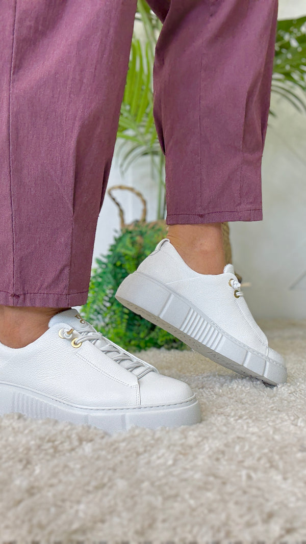 Paul Green Amelia White Trainer