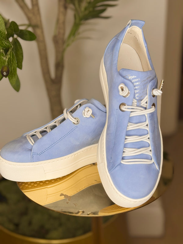 Paul Green Whitney Blue Trainer