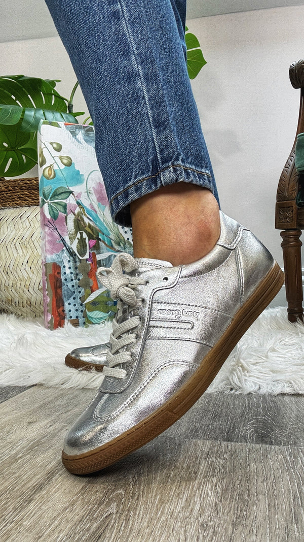 Paul Green WILLOW Trainer