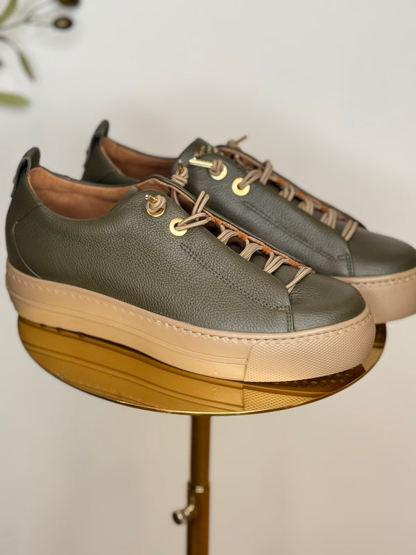 Paul Green Alice Trainer